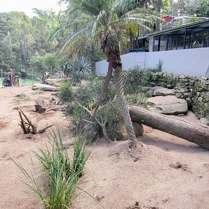Meerrkat enclosure - interior