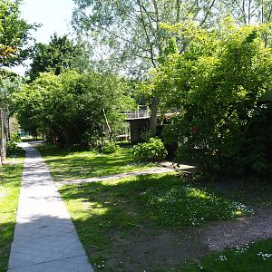 Park view, 2019-06-01