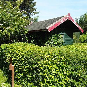 Caracal barn, 2019-06-01