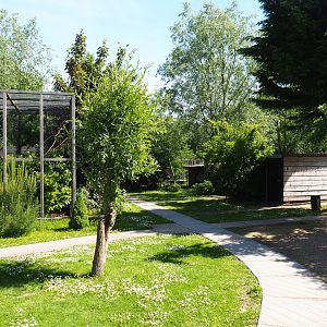 Park view, 2019-06-01