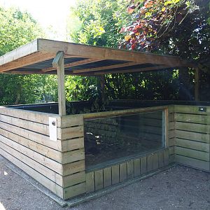 Coypu/Nutria exhibit, 2019-06-01