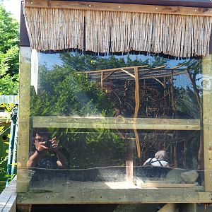 Meerkat hut, 2019-06-01