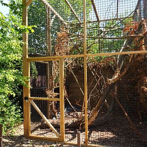 Desmarest's hutia exhibit, 2019-06-01