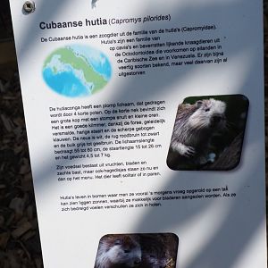 Sign Desmarest's hutia, 2019-06-01
