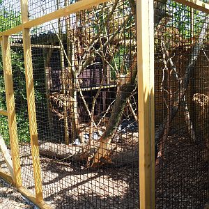 Desmarest's hutia exhibit, 2019-06-01