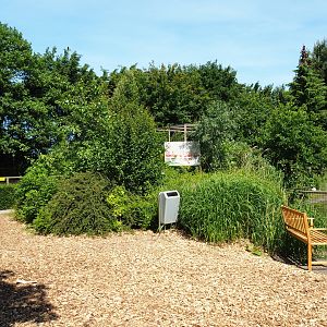 Park view, 2019-06-01