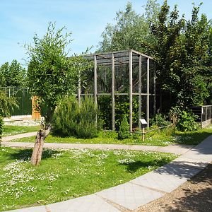 Park view, 2019-06-01