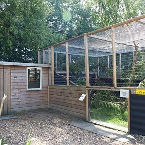 Asian palm civet exhibit and barn, 2019-06-01