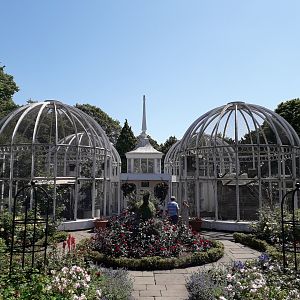 Birmingham Botanical Gardens June 2019