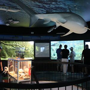 General View of Aquarium - First Room