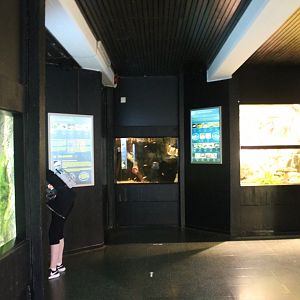 Aquarium Overview - Downstairs