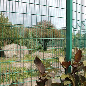 Tiger Enclosure