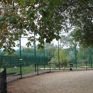 Ex Circus Lions Enclosure