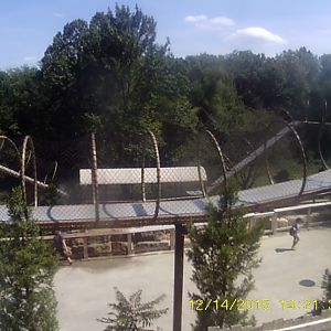 New! Snow Leopard Pass