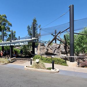Sep. 2019 - Northern Frontier - Mountain Lion Exhibit