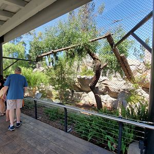 Sep. 2019 - Northern Frontier - Mountain Lion Exhibit