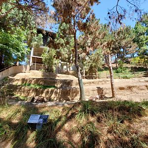 Sep. 2019 - Polar Bear Plunge - Siberian Reindeer Exhibit