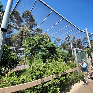 Sep. 2019 - Elephant Odyssey - Secretary Bird/Black-billed Magpie Exhibit