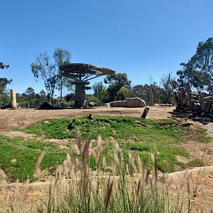 Sep. 2019 - Elephant Odyssey - Main African/Asian Elephant Exhibit