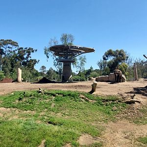 Sep. 2019 - Elephant Odyssey - Main African/Asian Elephant Exhibit