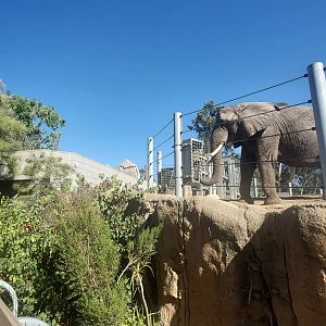 Sep. 2019 - Elephant Odyssey - Middle Elephant Exhibit
