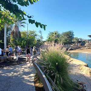 Sep. 2019 - Elephant Odyssey - Jaguar + Main Elephant Exhibit