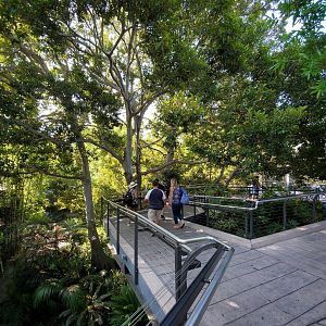 Sep. 2019 - The Lost Forest - Monkey Trails & Forest Tales