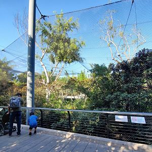 Sep. 2019 - The Lost Forest - Monkey Trails & Forest Tales - Wolf's Guenon/Spot-nosed Monkey/Pygmy Hippo Exhibit