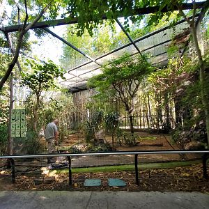 Sep. 2019 - The Lost Forest - Monkey Trails & Forest Tales - 12 Species Aviary