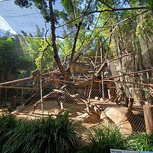 Sep. 2019 - The Lost Forest - Monkey Trails & Forest Tales - Tufted Capuchin Exhibit