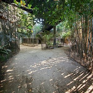 Sep. 2019 - The Lost Forest - Monkey Trails & Forest Tales - Babirusa Exhibit