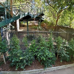 Sep. 2019 - The Lost Forest - Monkey Trails & Forest Tales - Tufted Deer Exhibit