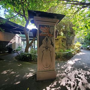 Sep. 2019 - The Lost Forest - Monkey Trails & Forest Tales