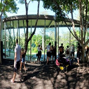 Sep. 2019 - The Lost Forest - Absolutely Apes - Orangutan/Siamang Viewing Panorama