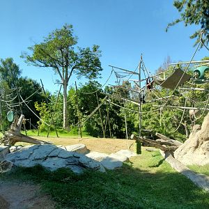 Sep. 2019 - The Lost Forest - Absolutely Apes - Orangutan/Siamang Exhibit