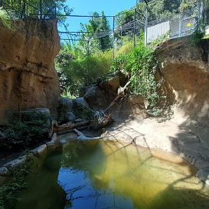 Sep. 2019 - The Lost Forest - Tiger River - First Malayan Tiger Exhibit