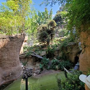 Sep. 2019 - The Lost Forest - Tiger River - Second Malayan Tiger Exhibit