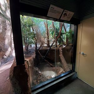Sep. 2019 - The Lost Forest - Tiger River - Coconut Crab Exhibit