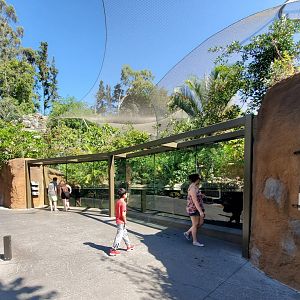 Sep. 2019 - Africa Rocks - Dwarf Crocodile/Big-headed Turtle/West African Mud Turtle Exhibit