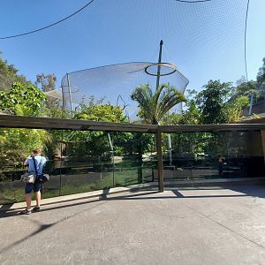 Sep. 2019 - Africa Rocks - Dwarf Crocodile/Madagascar Big-headed Turtle/West African Mud Turtle Exhibit