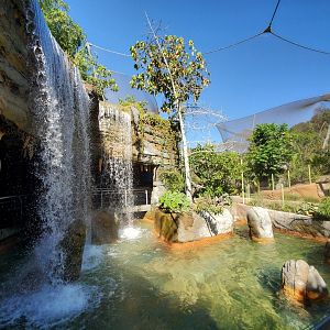 Sep. 2019 - Africa Rocks - Rady Falls