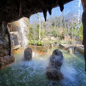 Sep. 2019 - Africa Rocks - Rady Falls