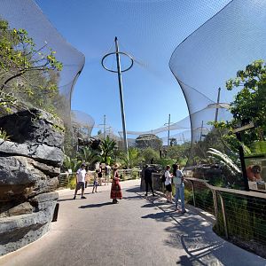 Sep. 2019 - Africa Rocks - Madagascar Entrance