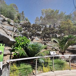 Sep. 2019 - Africa Rocks - Honey Badger Exhibit