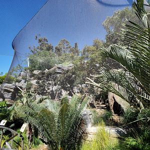 Sep. 2019 - Africa Rocks - Honey Badger Exhibit