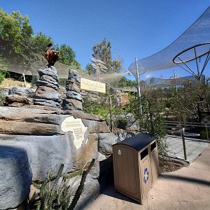 Sep. 2019 - Africa Rocks