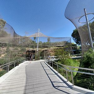 Sep. 2019 - Africa Rocks