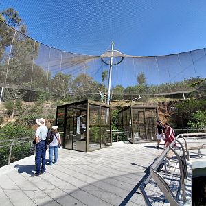 Sep. 2019 - Africa Rocks - Aviary [Closed to Public]