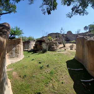 Sep. 2019 - Africa Rocks - Ethiopian Highlands - Gelada/Nubian Ibex Exhibit