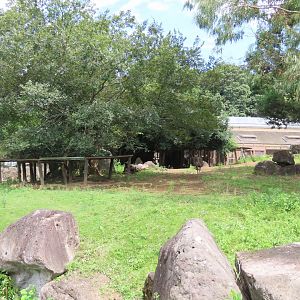 Emu/red kangaroo exhibit